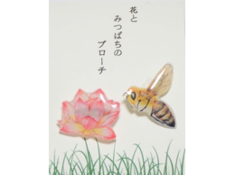 花蜂B.jpg